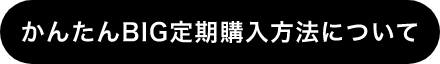 かんたんBIG定期購入方法について