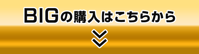 BIGの購入はこちらから