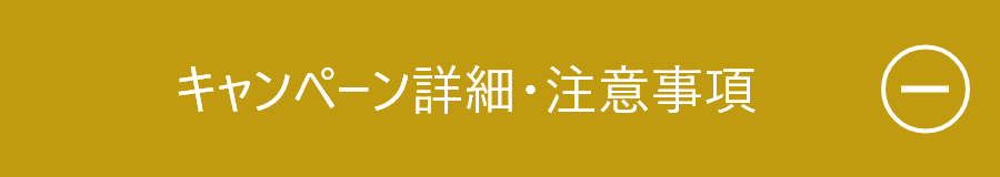 キャンペーン詳細・注意事項を閉じる