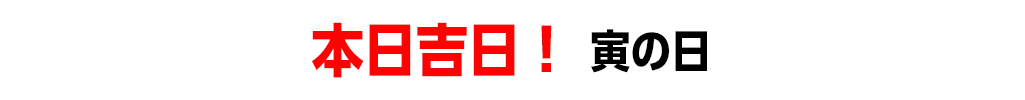 本日吉日！ 寅の日