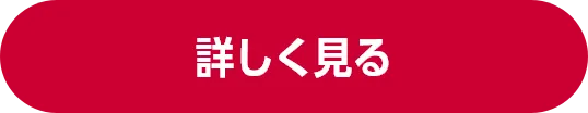 詳しく見る