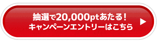 抽選で20,000ptあたる！キャンペーンエントリーはこちら